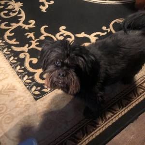 Meet your Posher, Jan